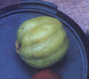 buch fruit3